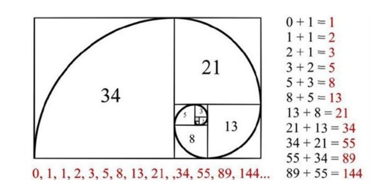 Công thức tính của Fibonacci được đánh giá là không khó